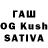 ГАШ VHQ Madhav Budhiraja