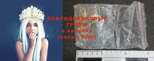 ПСИЛОЦИБИНОВЫЕ ГРИБЫ Белокуриха