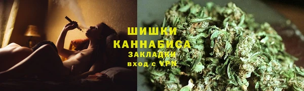 ПСИЛОЦИБИНОВЫЕ ГРИБЫ Белокуриха