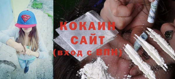 ПСИЛОЦИБИНОВЫЕ ГРИБЫ Белокуриха