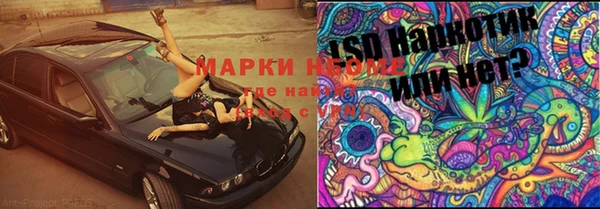 ПСИЛОЦИБИНОВЫЕ ГРИБЫ Белокуриха