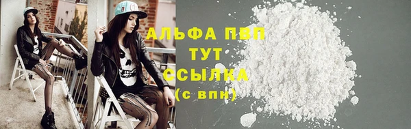 ПСИЛОЦИБИНОВЫЕ ГРИБЫ Белокуриха