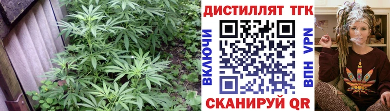 Дистиллят ТГК вейп с тгк  купить наркоту  Уржум 