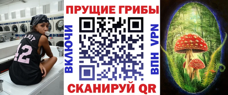даркнет сайт  Уржум  Галлюциногенные грибы Psilocybine cubensis 